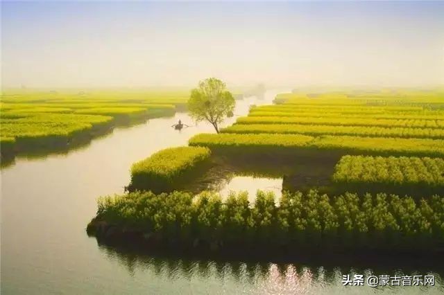 新歌推荐|乌兰娜《童年的油菜花》油菜花开正当时不负*光春**不负己