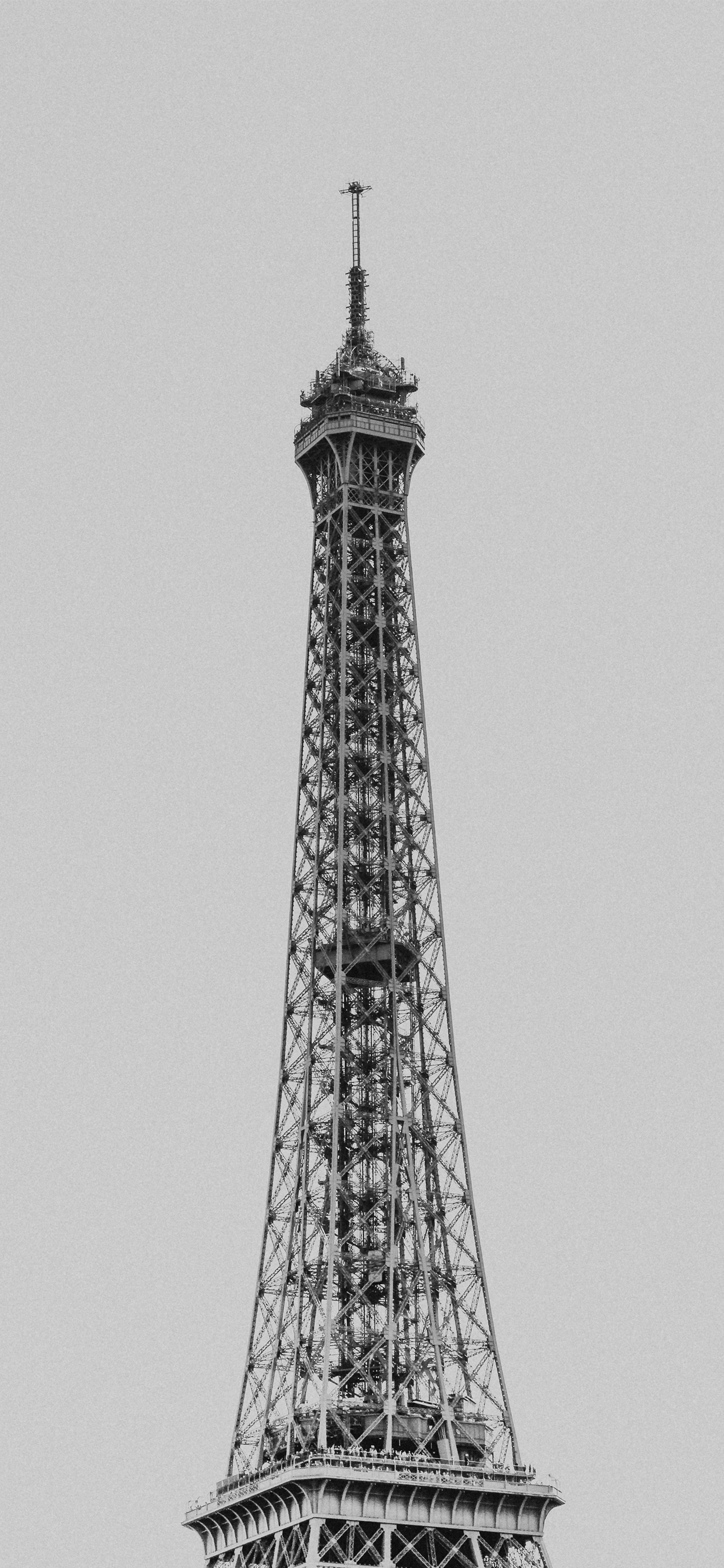 壁纸来了分享图,壁纸来了图片