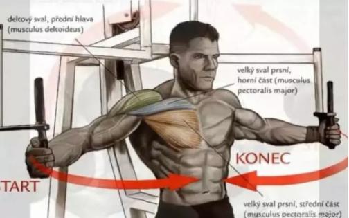 卧推一下子手臂没有力量拉伤了,卧推练胸手臂没力气