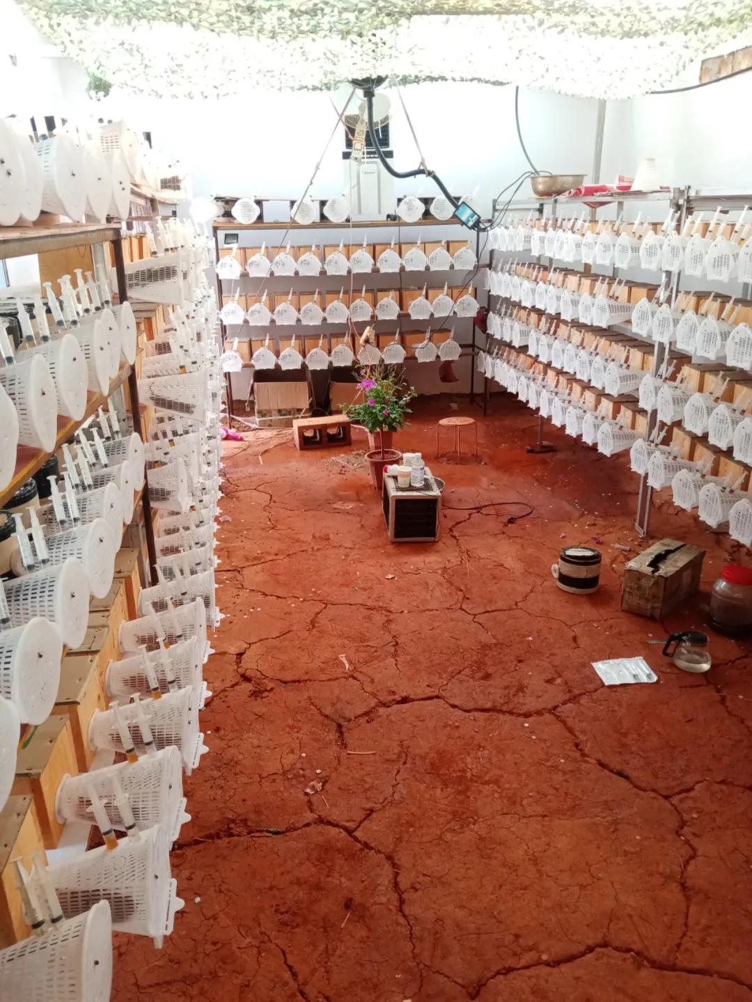 养殖产业助力乡村振兴,发展特色农业助力乡村振兴