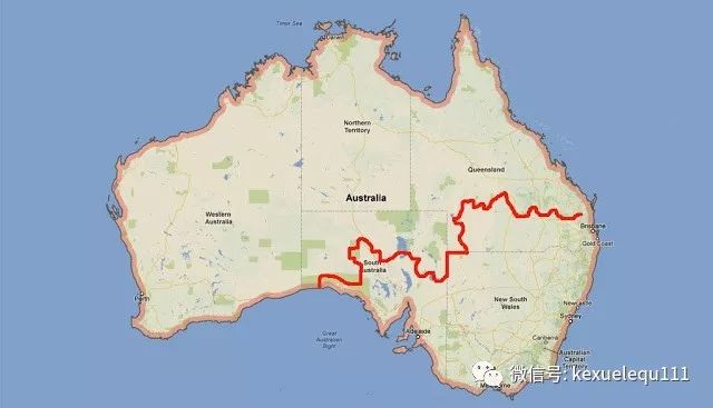 杀死兔子的方法,杀死兔子有什么后果