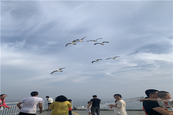 带车烟台到大连轮渡攻略,烟台带小车坐船去大连船票多少钱