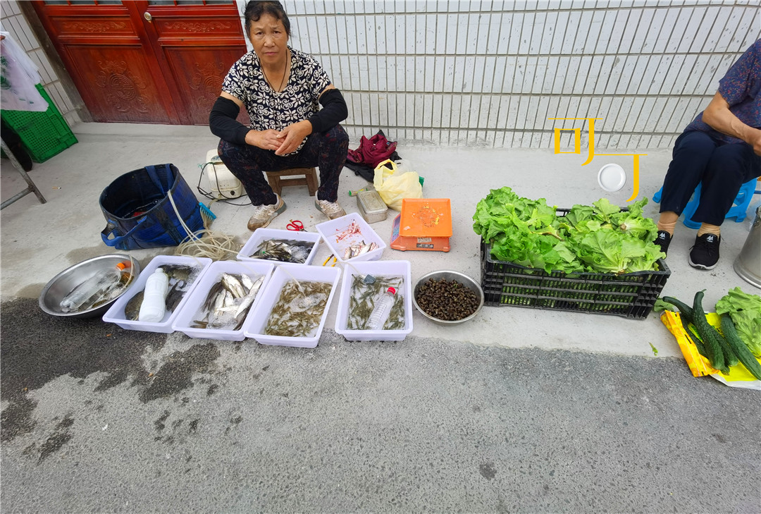 东钱湖湖畔人家农家乐,东钱湖下午茶和农家菜