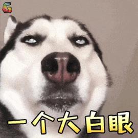 狗狗喘气为什么那么臭,狗狗一直喘气呼吸急促怎么回事啊