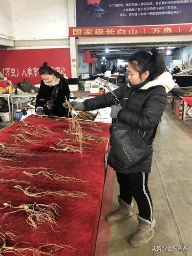 抚松万良人参批发市场在哪里,抚松万良人参市场直播