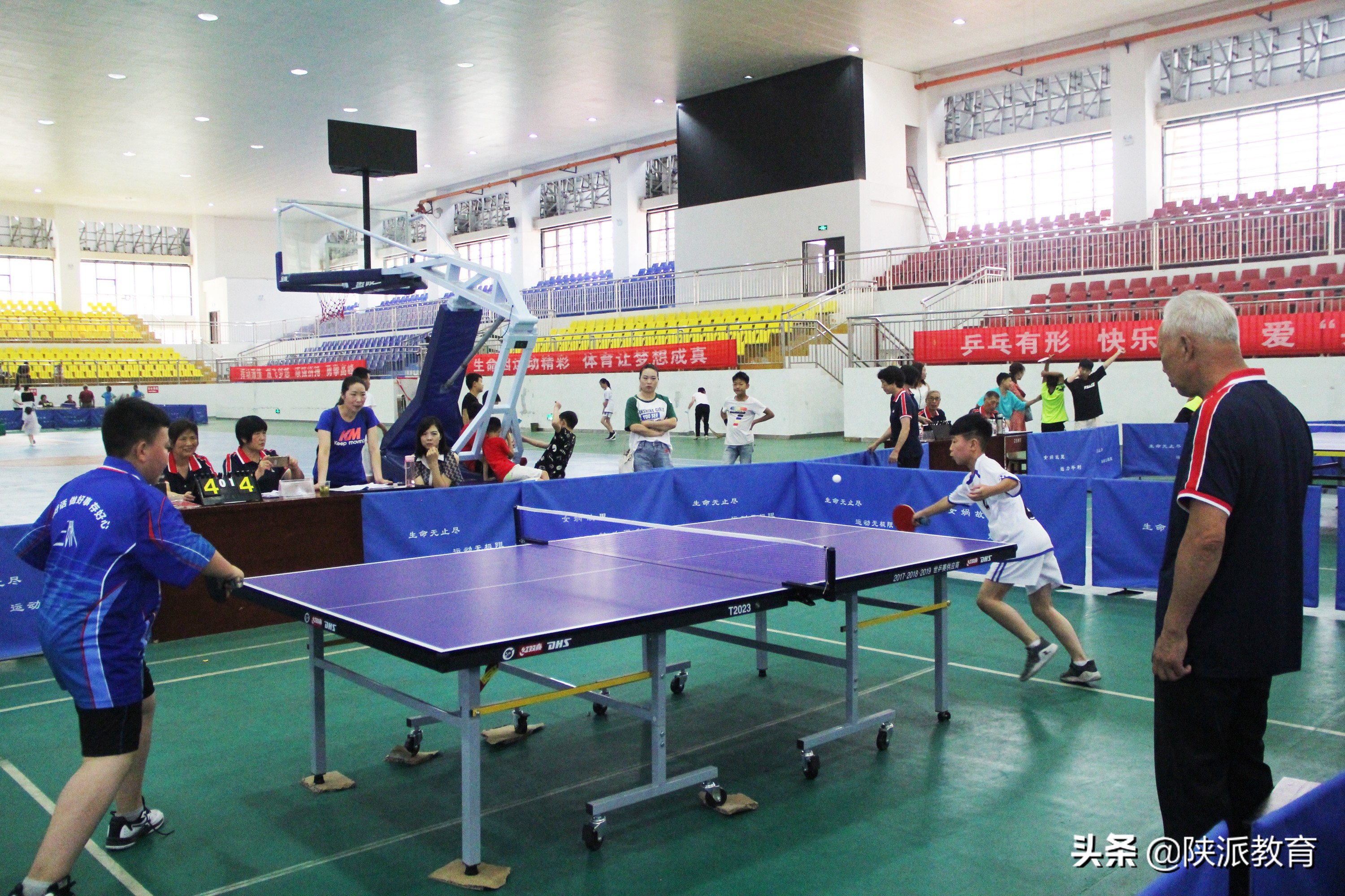 平利县第二届球类运动会乒乓球,平利县球类运动会