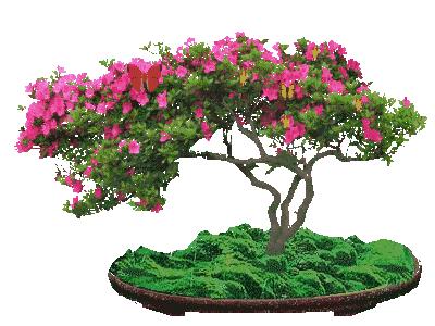 周五早上好！清晨起来笑一笑，开心一天没烦恼，祝好运天天到