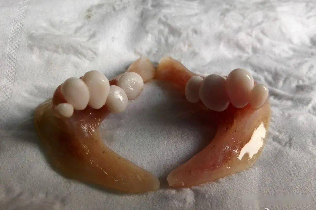 常见水生鱼类图册,水生动物大全