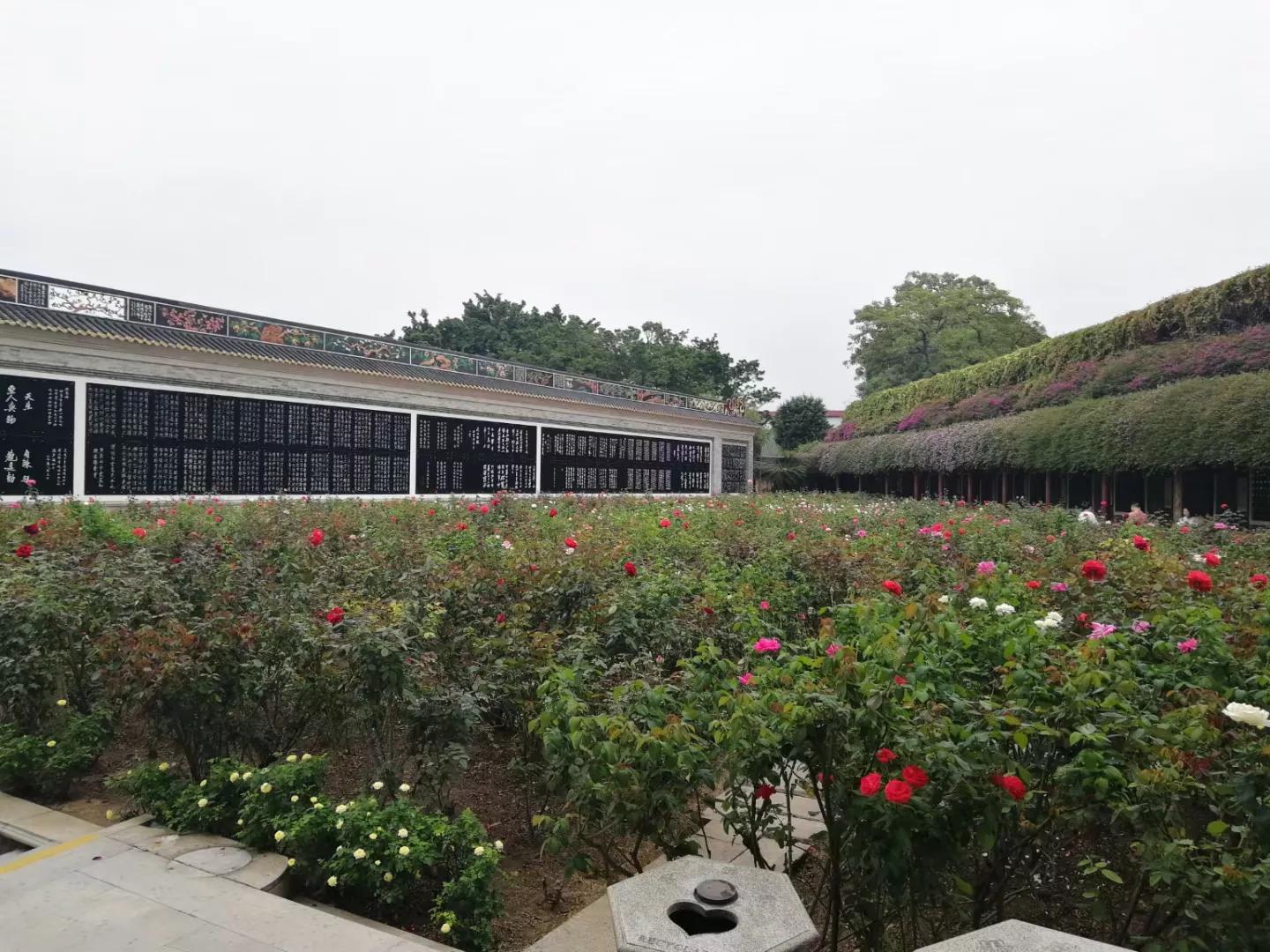 番禺南站旅游攻略,广州3号线地铁番禺旅游攻略