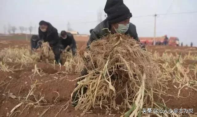 疫情面前我们该怎么去生活 (疫情期间你熬住了吗)