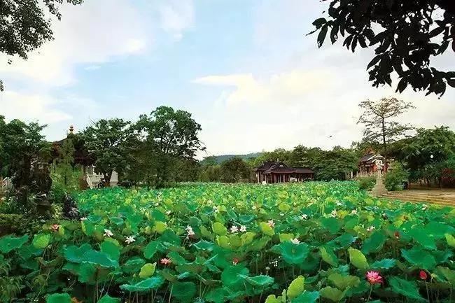 「重磅」32个职工足球小伙伴！月底广东来相“惠”！