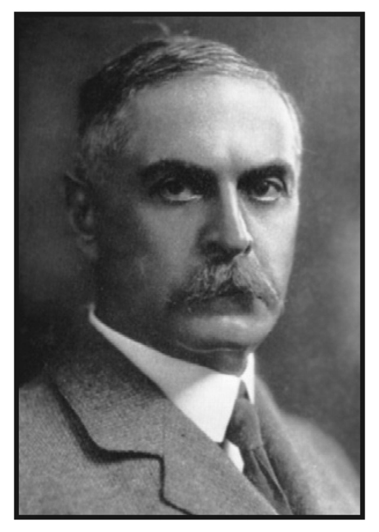 rh血型熊猫血什么意思,rh阴性熊猫血a型是什么意思