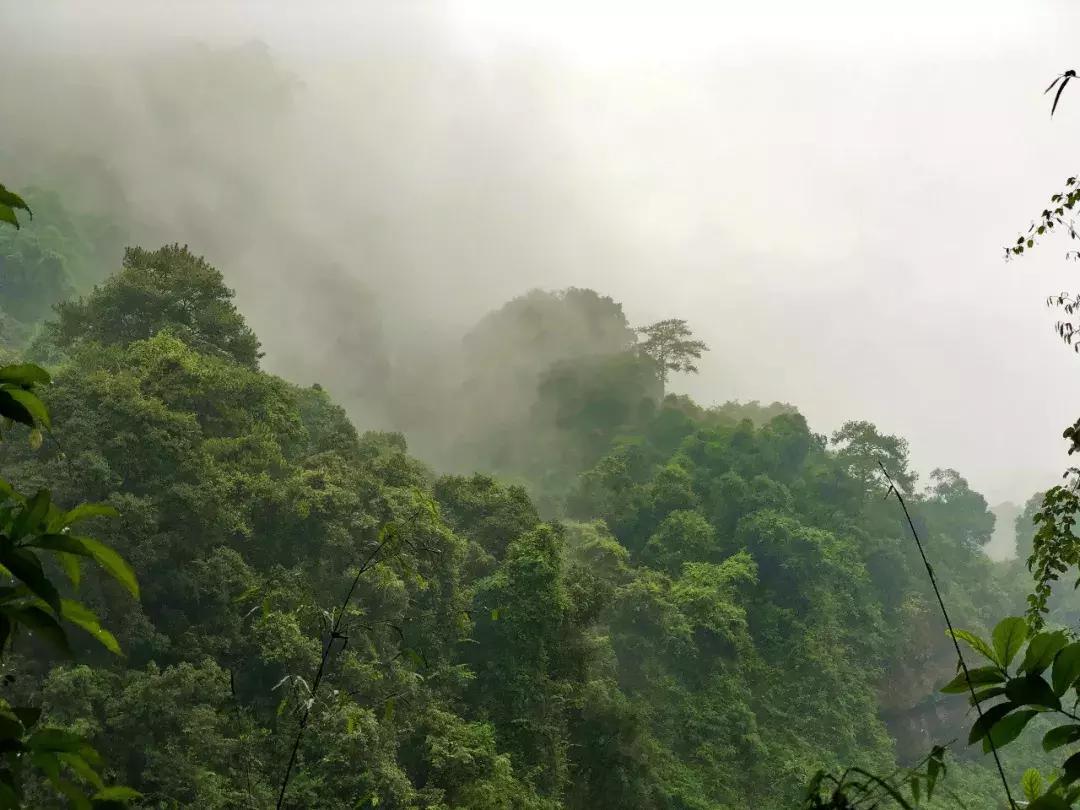 禅意水墨画拍摄技巧,摄影如何拍出水墨画
