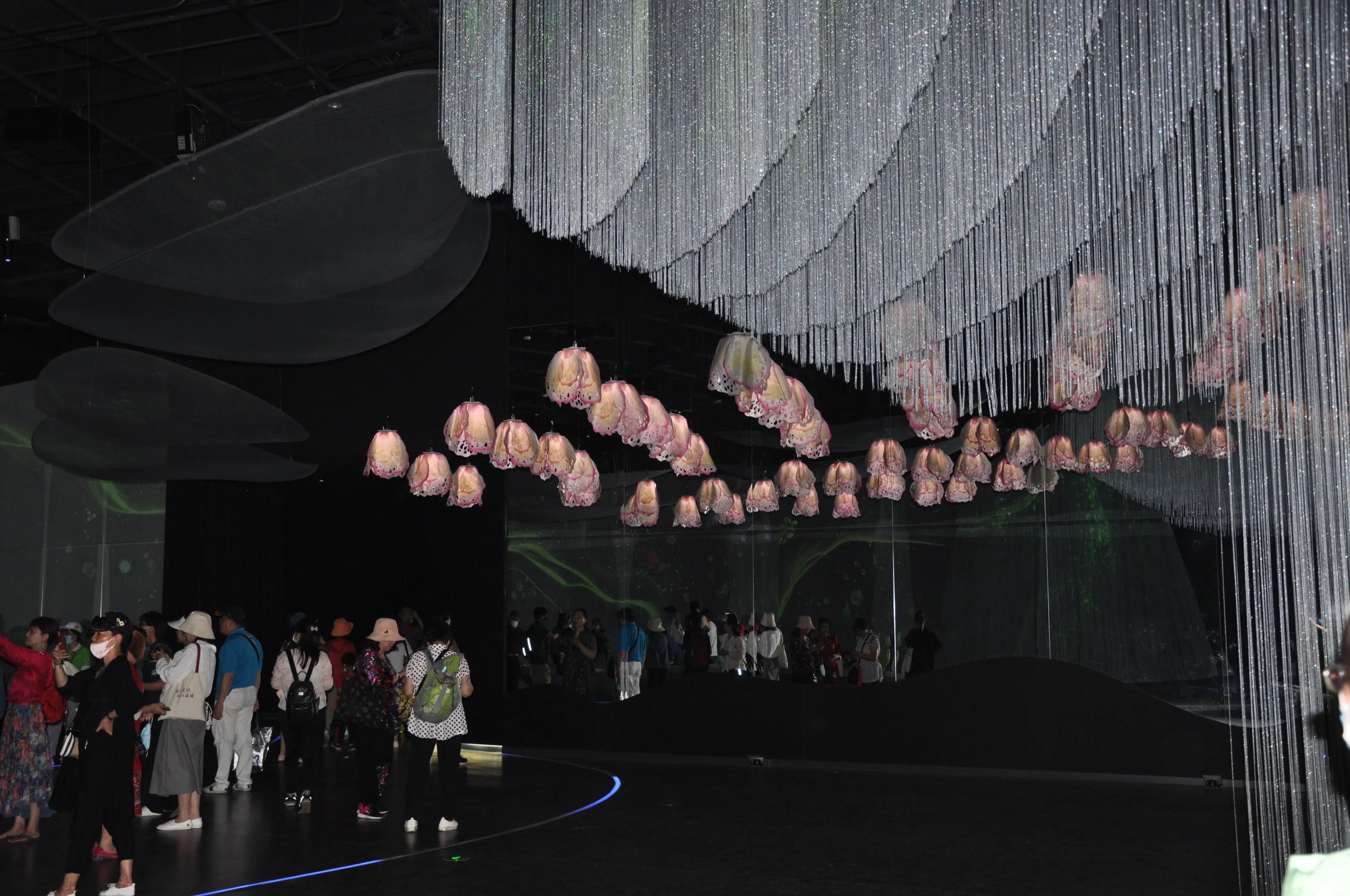 漳州东南花都花博会巡游,花博会花神巡游打卡