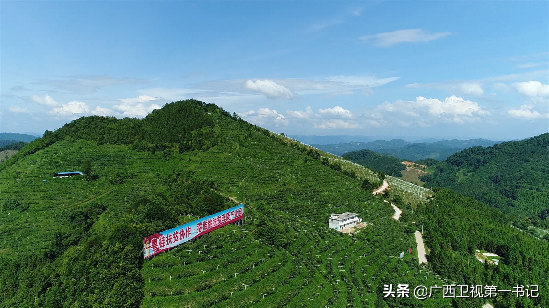 广西七大攻坚战,广西农垦五大攻坚战