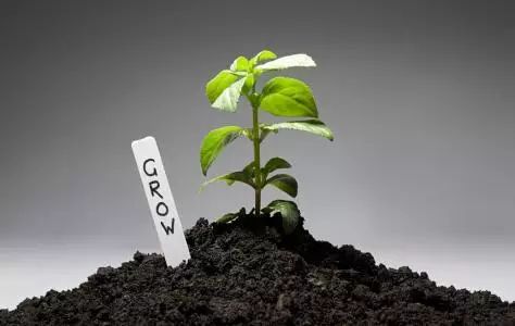 活了大半辈子，才知道粪肥这么用！