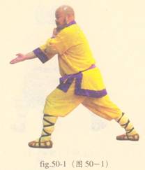 少林心意门拳视频教程,少林长护心意拳图解