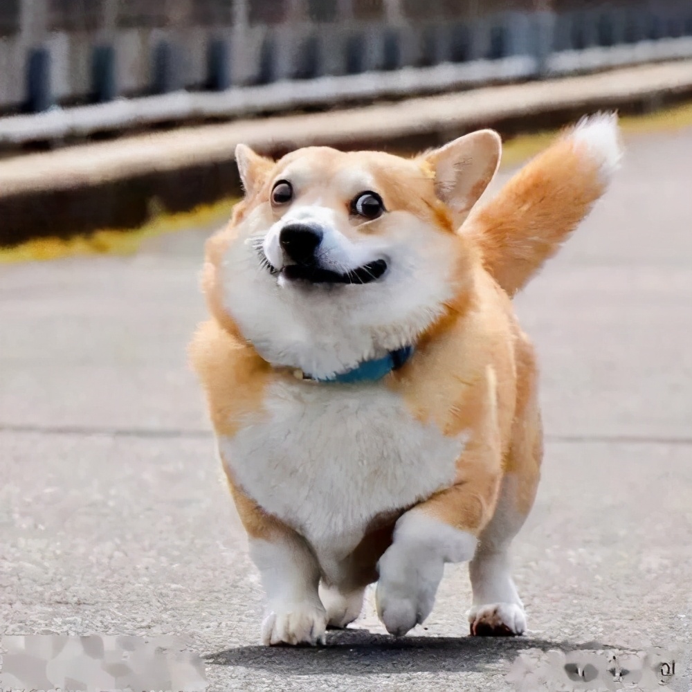 家中出贵人是哪四喜,宅子出现六喜是哪六喜