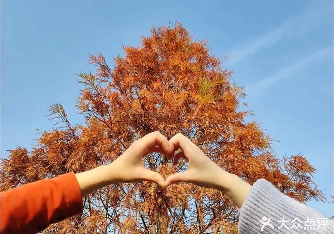 2023年厦门自由行热门攻略,厦门春节旅游攻略自由行最佳路线