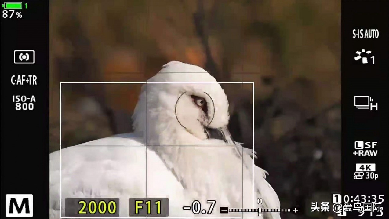 奥林巴斯2000m,奥林巴斯40-150r镜头评测