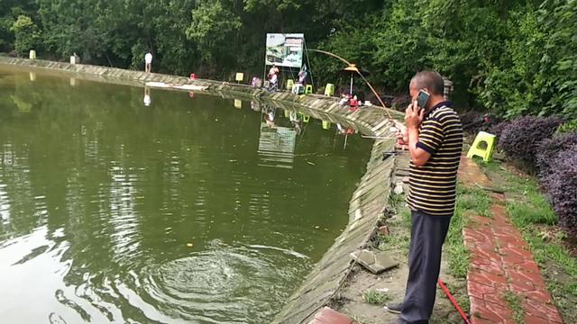 响水水库钓鲤鱼,响水钓鲤鱼位置