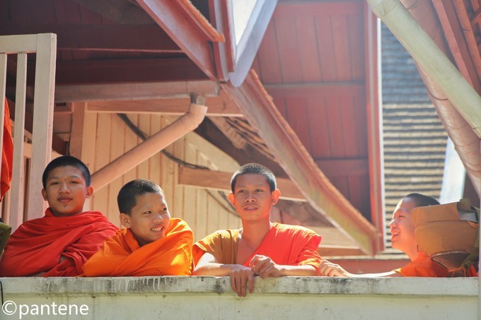 3月旅行最佳选择,3月旅行地点推荐亲子