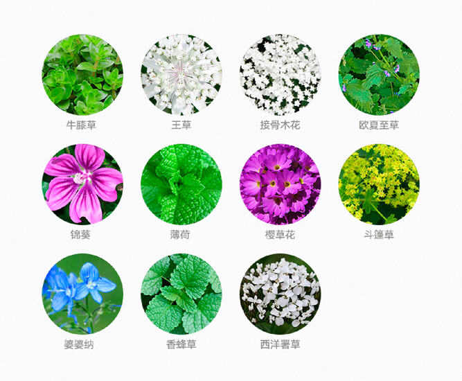 铛铛铛~韩国女生喜欢的Suiskin面膜大揭秘