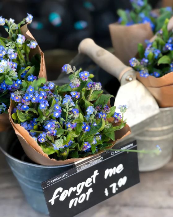 开花店的十大忠告,开花店的人现在都怎么样了