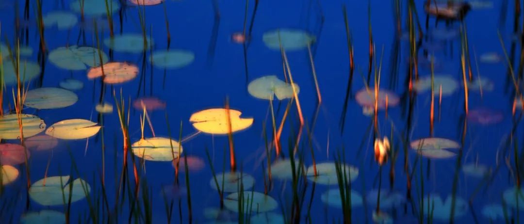 李涛摄影全集讲座,李涛摄影后期高级篇