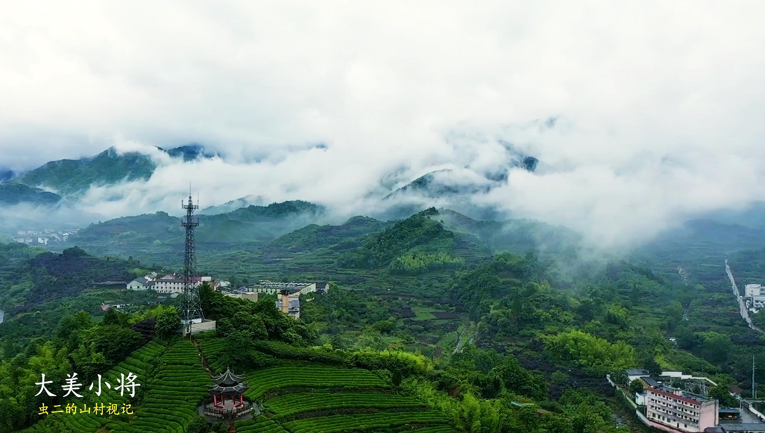 澶х編灏忓皢鑺辨牱娲惧鏀荤暐,澶х編灏忓皢鎶栭煶
