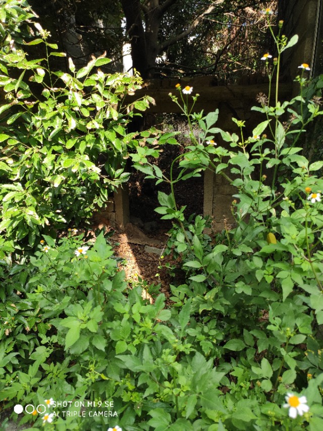 惠安崇武古城旅游,爱上惠安