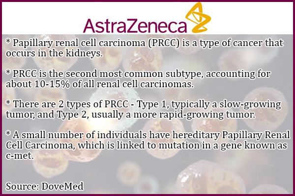 2013年癌症最新研究进展汇集,2019癌症研究治疗成果