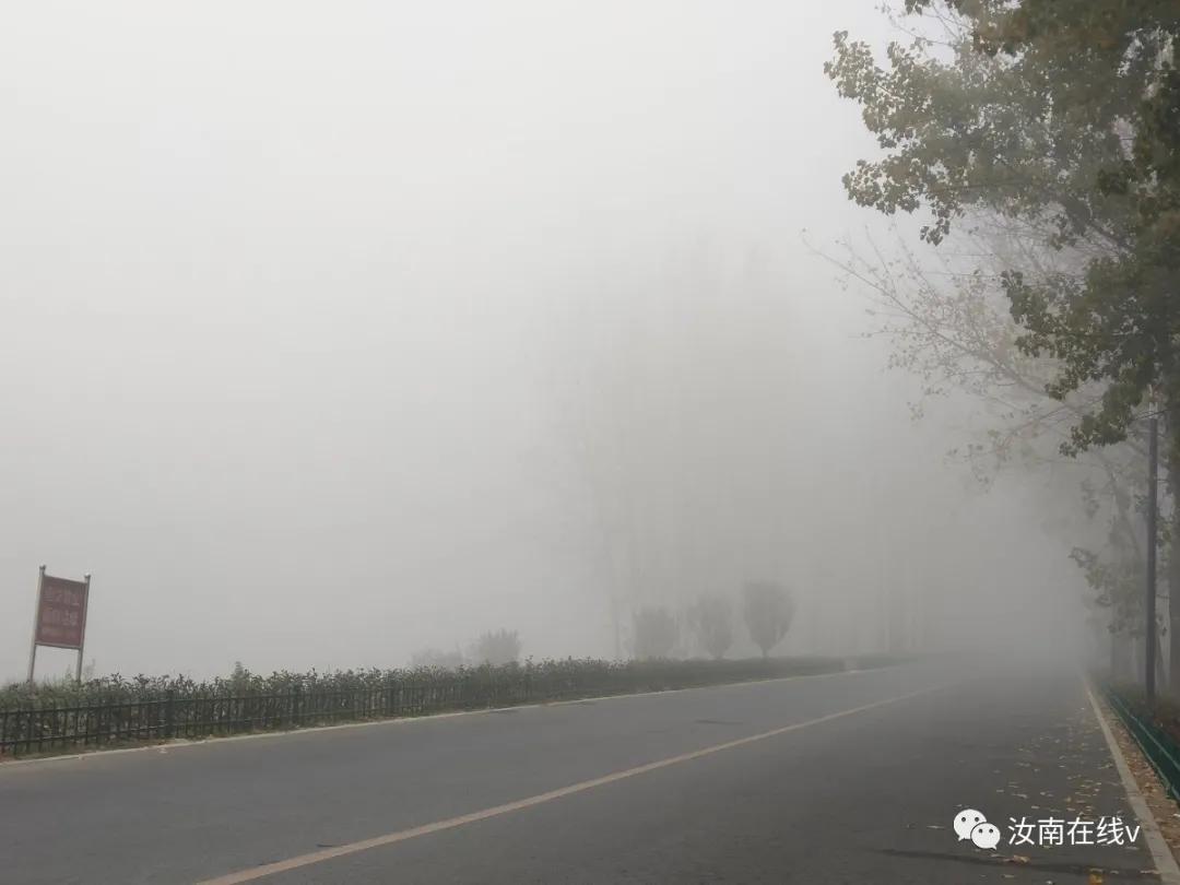 汝南县发布大雾橙色预警,大雾突然来袭视频