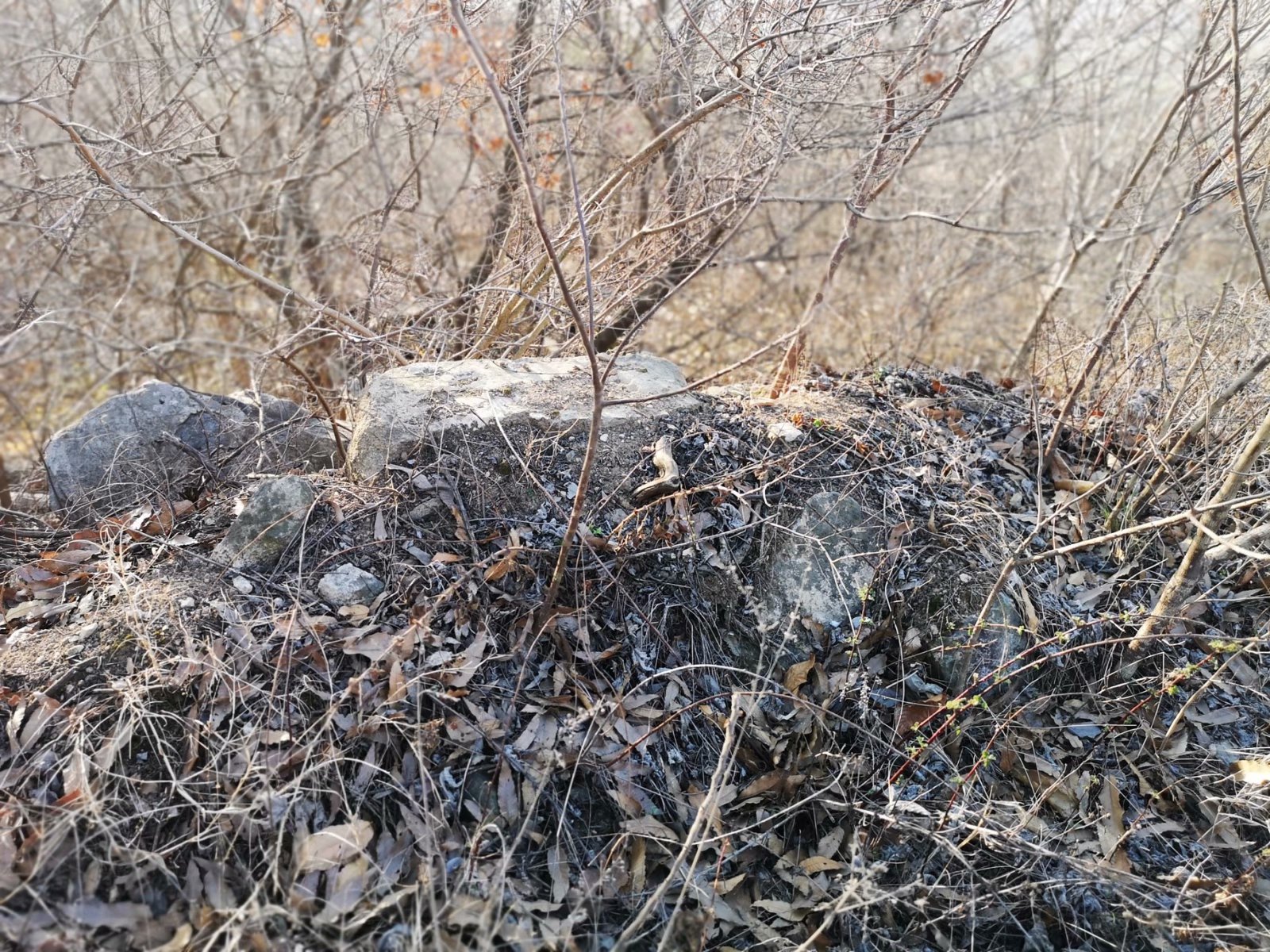 摩托周边旮旯游——探访蚌埠李楼鲁山寺遗址（上）