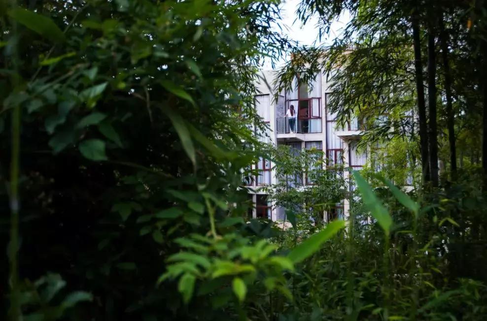 性价比极高的民宿推荐,民宿超推荐让你置身世外的感觉