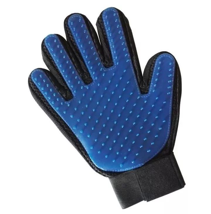 怎样写一份完美的养猫手册,新手养猫手册怎么写