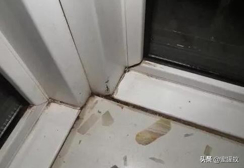 窗户和窗户连接处渗水怎么解决,窗户跟墙缝漏水如何处理