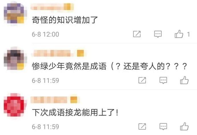 药店飞龙、冬日可爱、惨绿少年、摇鹅毛扇……这些竟然是成语？！