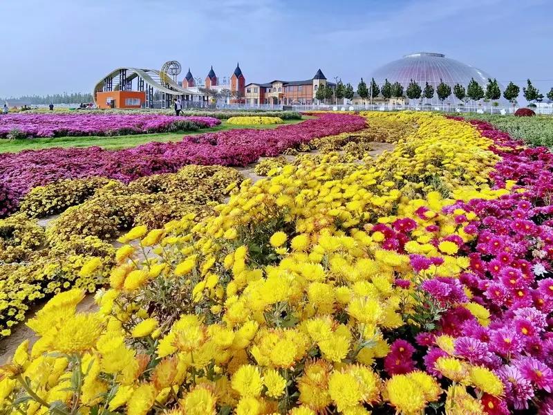 胜日寻芳泗水滨图片,胜日寻芳泗水滨的下一句是