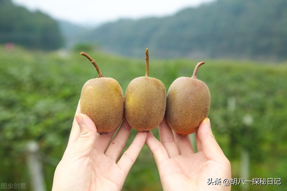 2000年前兵马俑震惊世界,古代兵马俑未解之谜