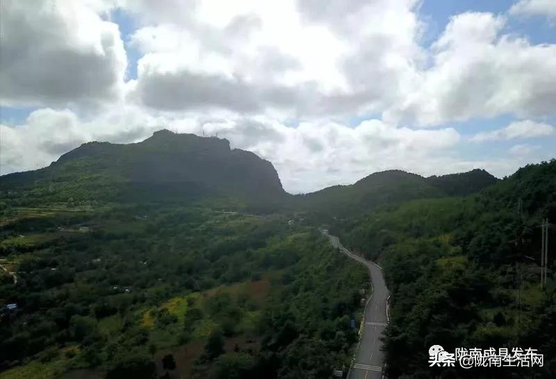 我叫成县,这是我2019年的自拍照