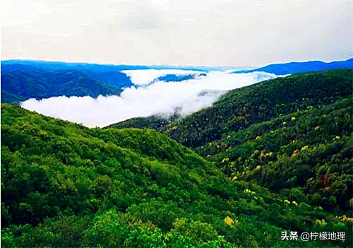 鹤岗被遗忘的城市,鹤岗是个什么样的城市