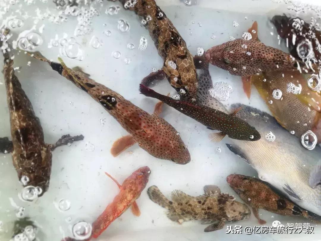 海南房车环岛营地,海南岛环岛房车营地