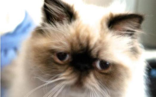 屁股总是胀胀的，是想要排便吗？原来大部分女性都会有这种情况