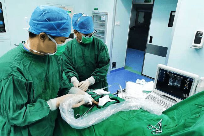 睾丸胀疼是什么原因引起的,睾丸胀疼是什么原因