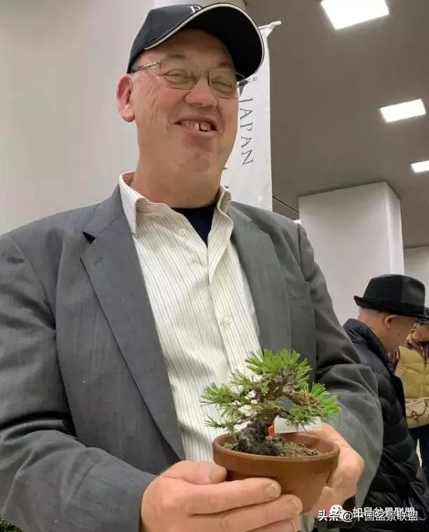 日本盆景巨匠木村正彦作品全程 (木村正彦盆景作品)