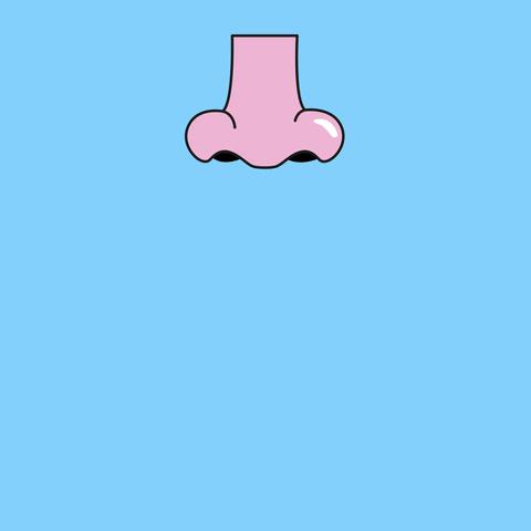 动一动真有趣手指律动,动一动手指更健康