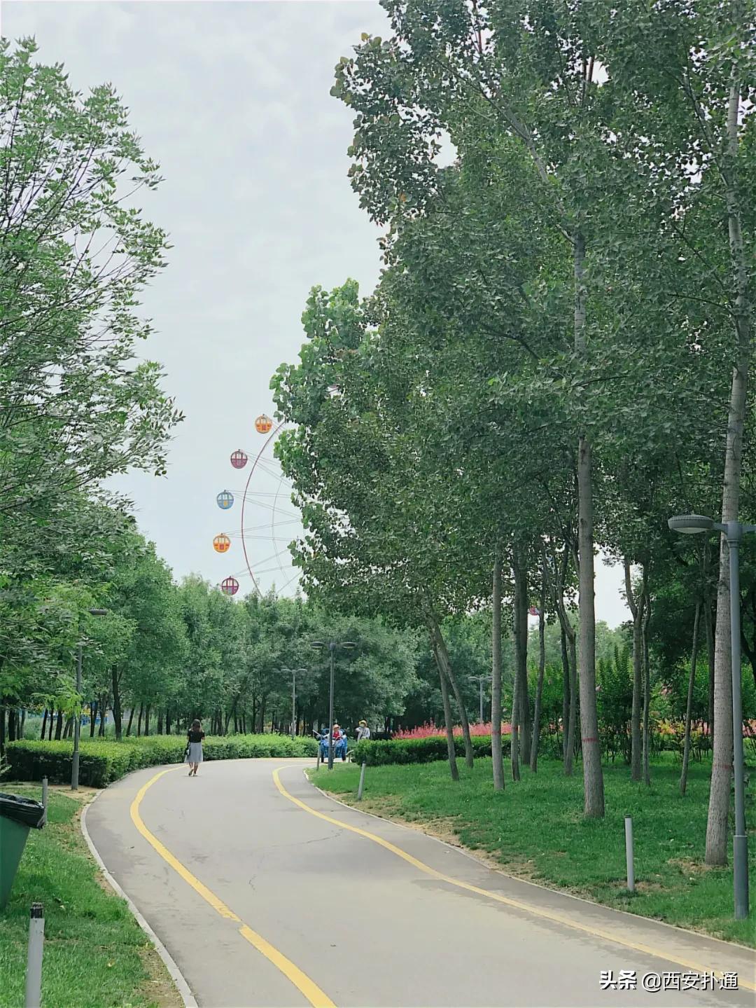 浐灞国家湿地公园最美地方,浐灞湿地公园有啥好玩的