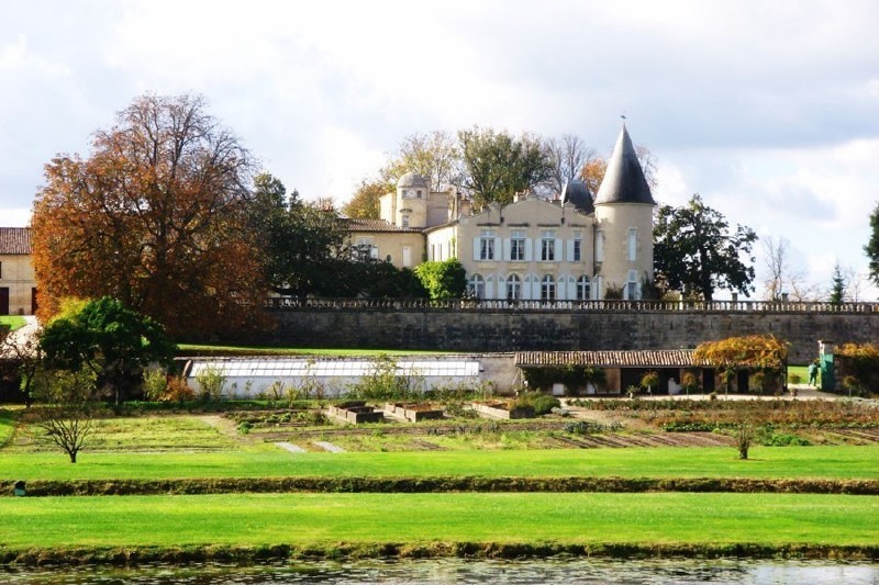 拉菲集团ip,拉菲集团是做什么的