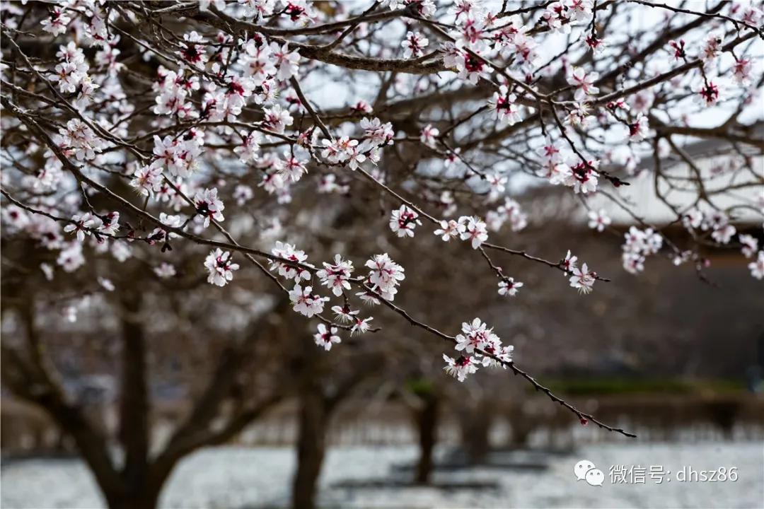 敦煌山庄游玩攻略,敦煌山庄旅游攻略
